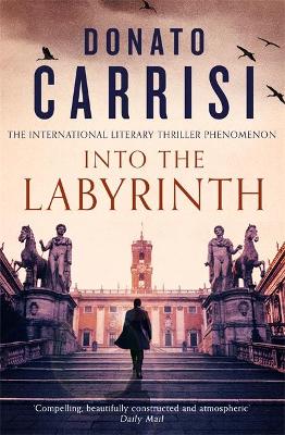 Into the Labyrinth book