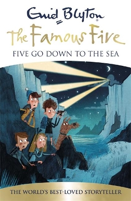 Five Go Down To The Sea book
