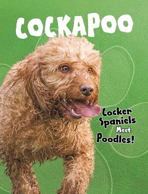 Cockapoo: Cocker Spaniels Meet Poodles! by Paula M. Wilson