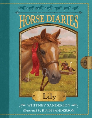 Horse Diaries #15 book