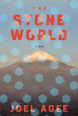 The Stone World book