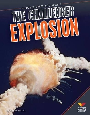 Challenger Explosion book