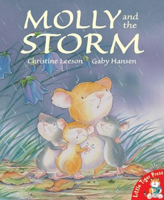 Molly and the Storm book