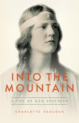 Into the Mountain book