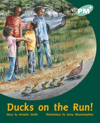 Ducks on the Run! book