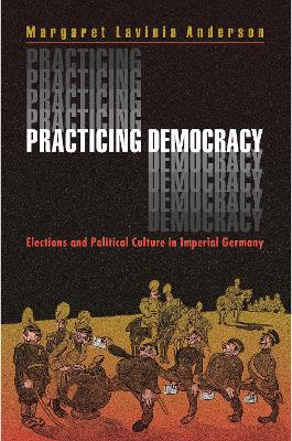 Practicing Democracy book
