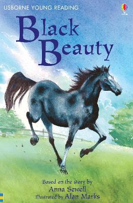 Black Beauty book