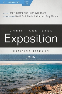 Exalting Jesus in John book