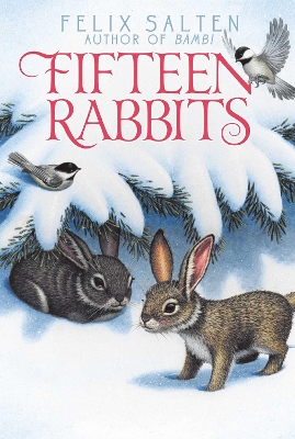 Fifteen Rabbits book