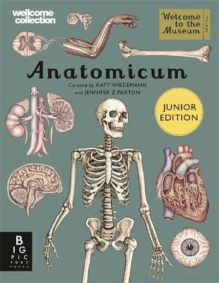 Anatomicum Junior by Jennifer Z Paxton