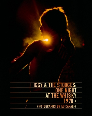 Iggy & the Stooges book