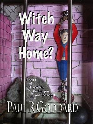 Witch Way Home book