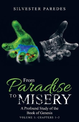 From Paradise to Misery by Silvester Paredes