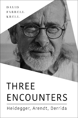 Three Encounters: Heidegger, Arendt, Derrida book