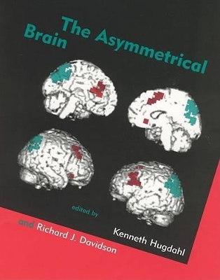 Asymmetrical Brain book