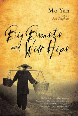 Big Breasts and Wide Hips book