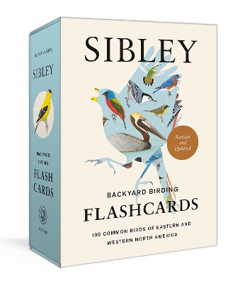 Sibley Backyard Birding Flashcards, Revised and Updated: 100 Common Birds of Eastern and Western North America book