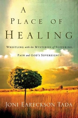 A Place of Healing book