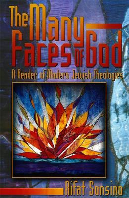 The Many Faces of God book