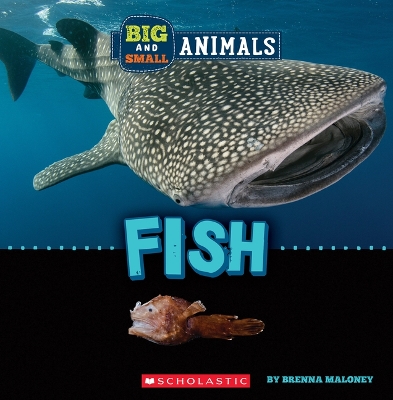 Fish (Wild World: Big and Small Animals) by Brenna Maloney