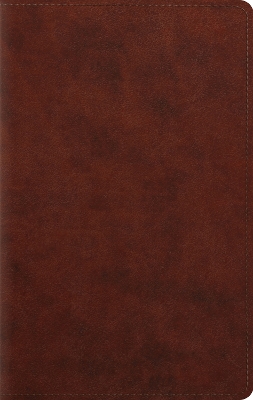 ESV Large Print Personal Size Bible book