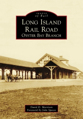 Long Island Rail Road by David D Morrison