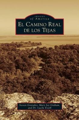 Camino Real de Los Tejas book