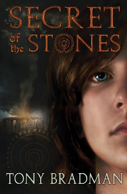 Secret of the Stones book