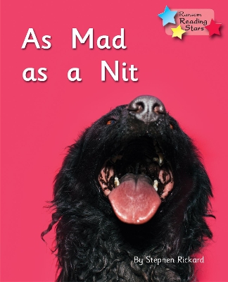 As Mad as a Nit: Phonics Phase 2 book