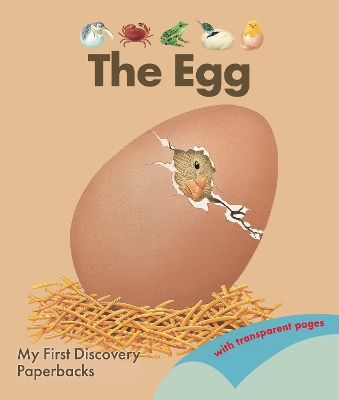 The Egg by René Mettler