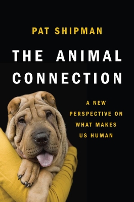 Animal Connection book