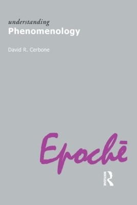 Understanding Phenomenology book