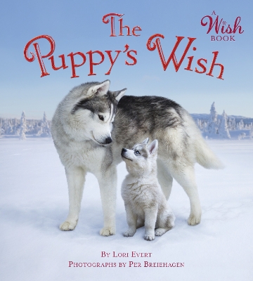 The Puppy's Wish book
