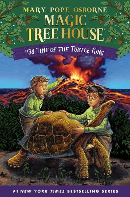 Time of the Turtle King book