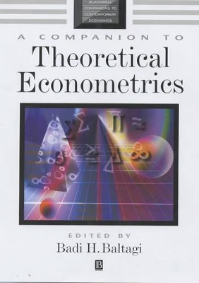 Companion to Theoretical Econometrics book