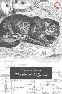 Fire of the Jaguar book