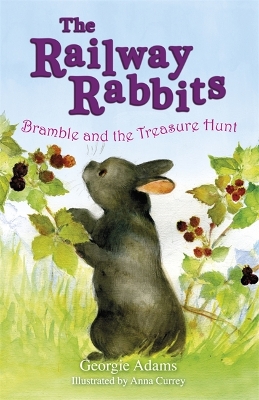 Railway Rabbits: Bramble and the Treasure Hunt book