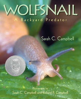 Wolfsnail by Sarah C. Campbell