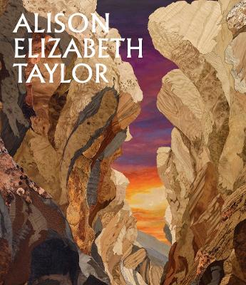 Alison Elizabeth Taylor: The Sum of It book