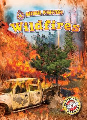 Wildfires book