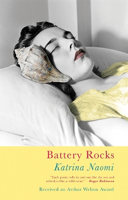 Battery Rocks book