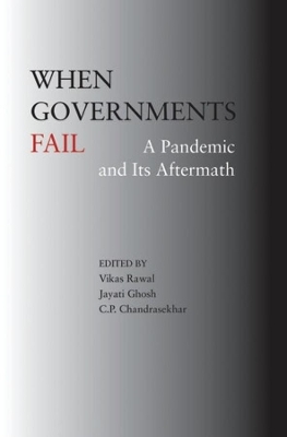 When Governments Fail – A Pandemic and Its Aftermath book