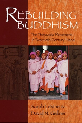 Rebuilding Buddhism book