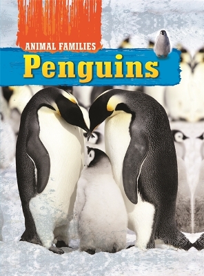 Animal Families: Penguins by Tim Harris