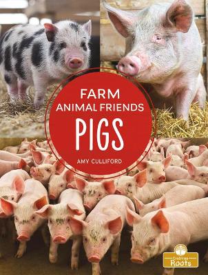 Pigs by Amy Culliford