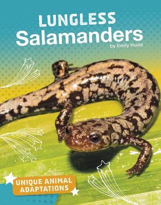 Lungless Salamanders book
