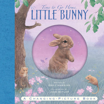 Time to Go Home Little Bunny book