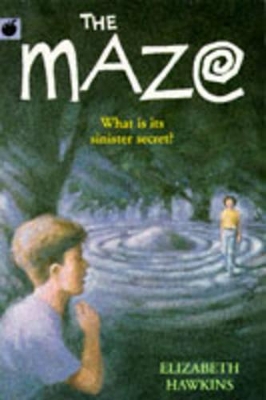 The Maze, The book