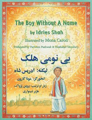 Boy Without a Name book