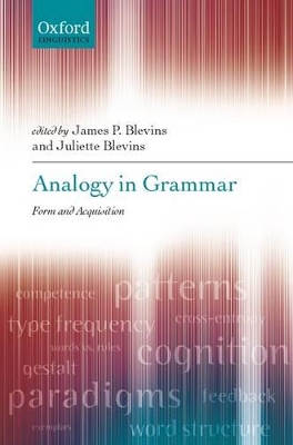 Analogy in Grammar book